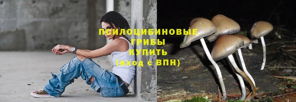a pvp Медногорск
