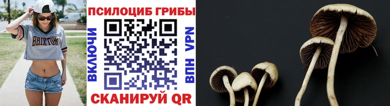 Псилоцибиновые грибы GOLDEN TEACHER  Шацк 